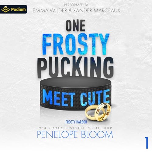 One Frosty Pucking Meet Cute